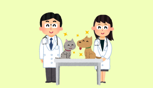 子犬の健康診断