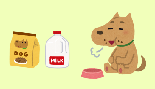 子犬の離乳食の作り方